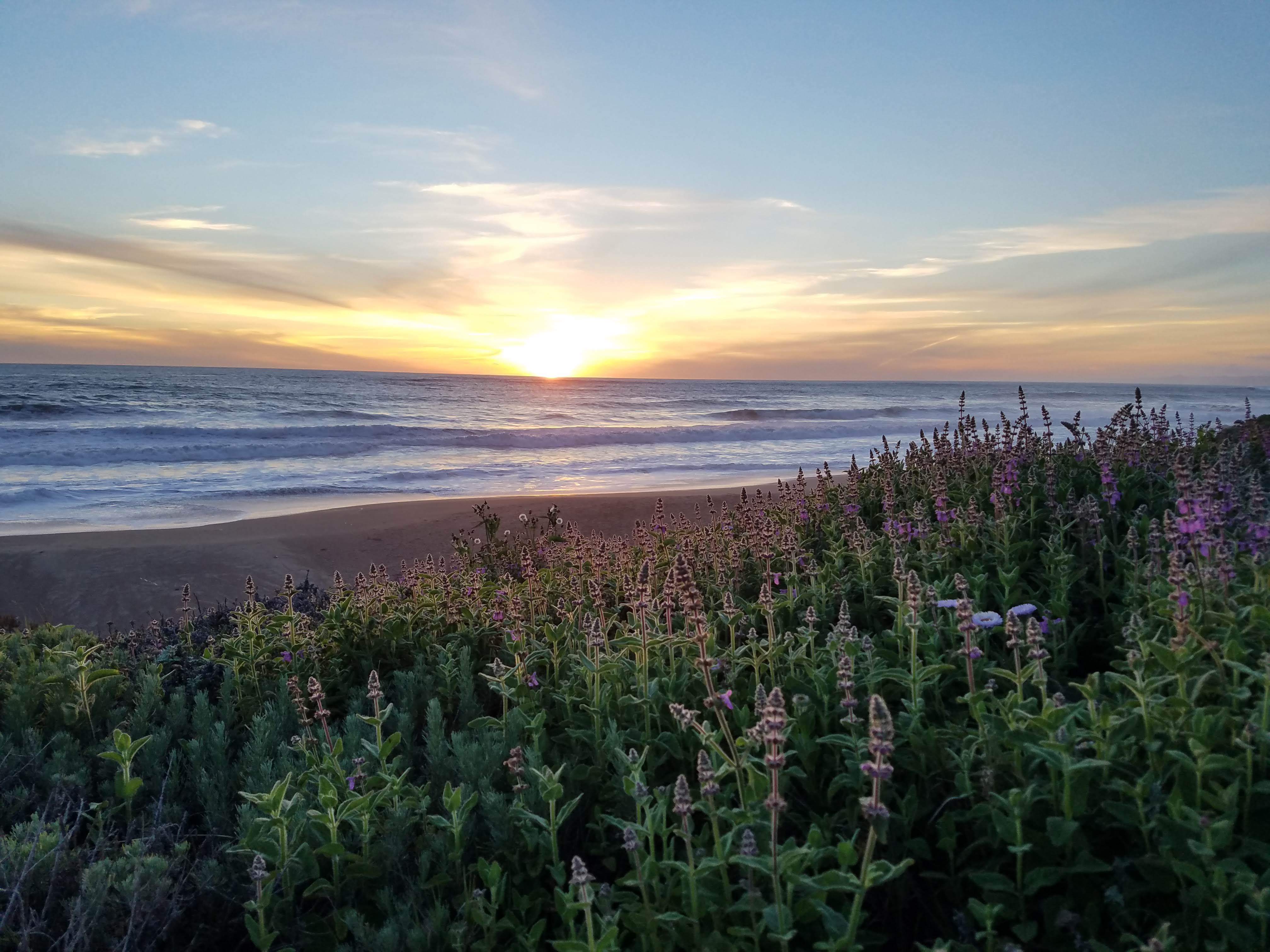 Sunset on the beach.