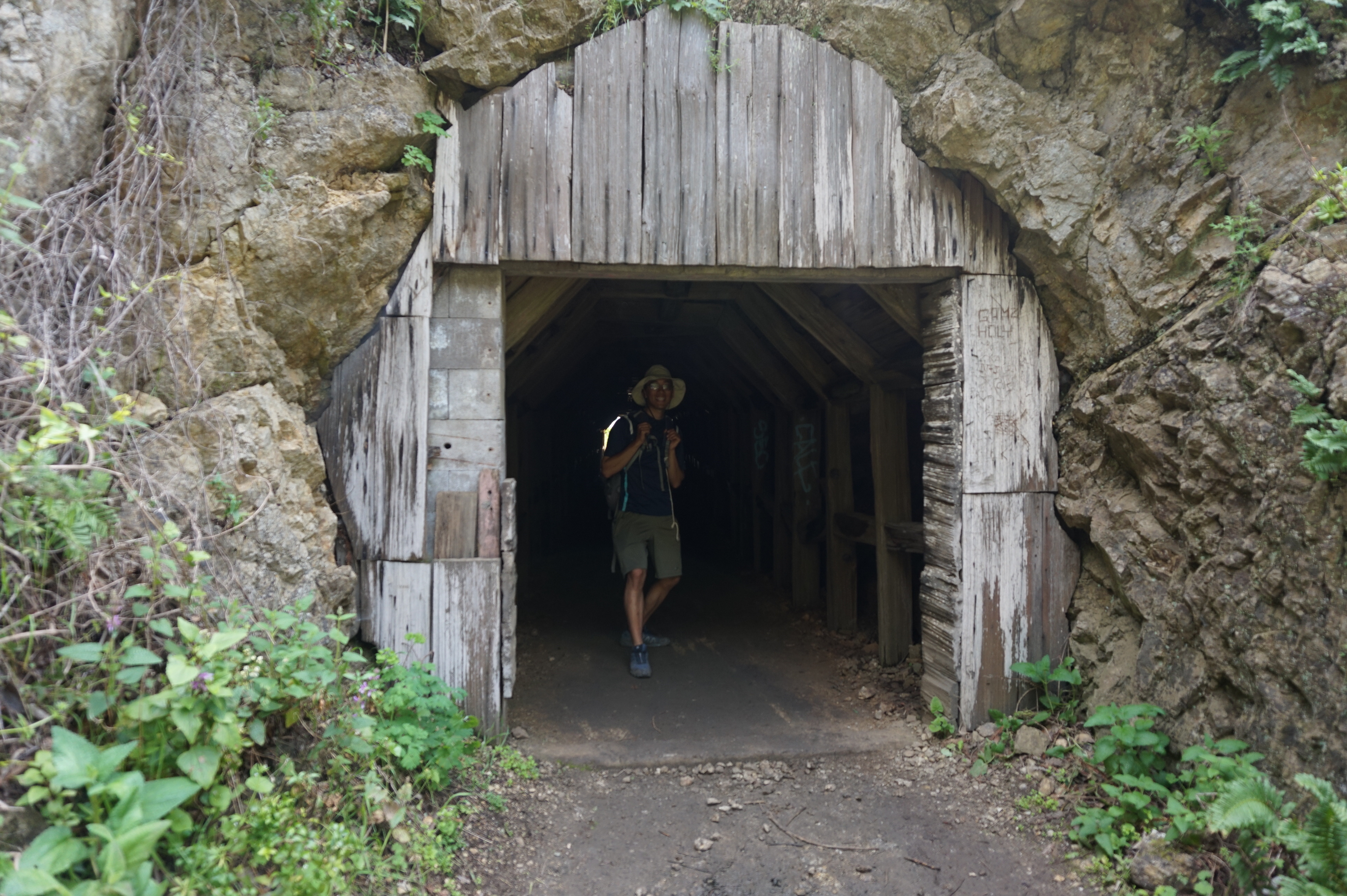 A tunnel takes you down into a little cove just north of Julia Pfeiffer Burns state park. We saw crashing waves and two sea otters in the distance here.