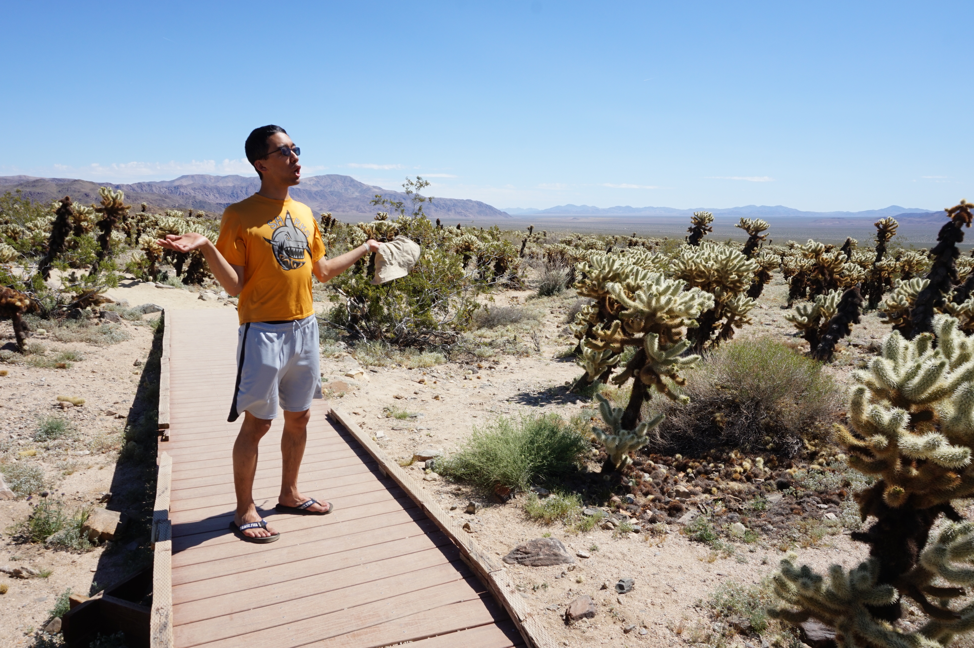 These are cholla cactuses. They are incredibly sharp and other-worldly looking plants. I think Geoff is doing an cholla impression here.