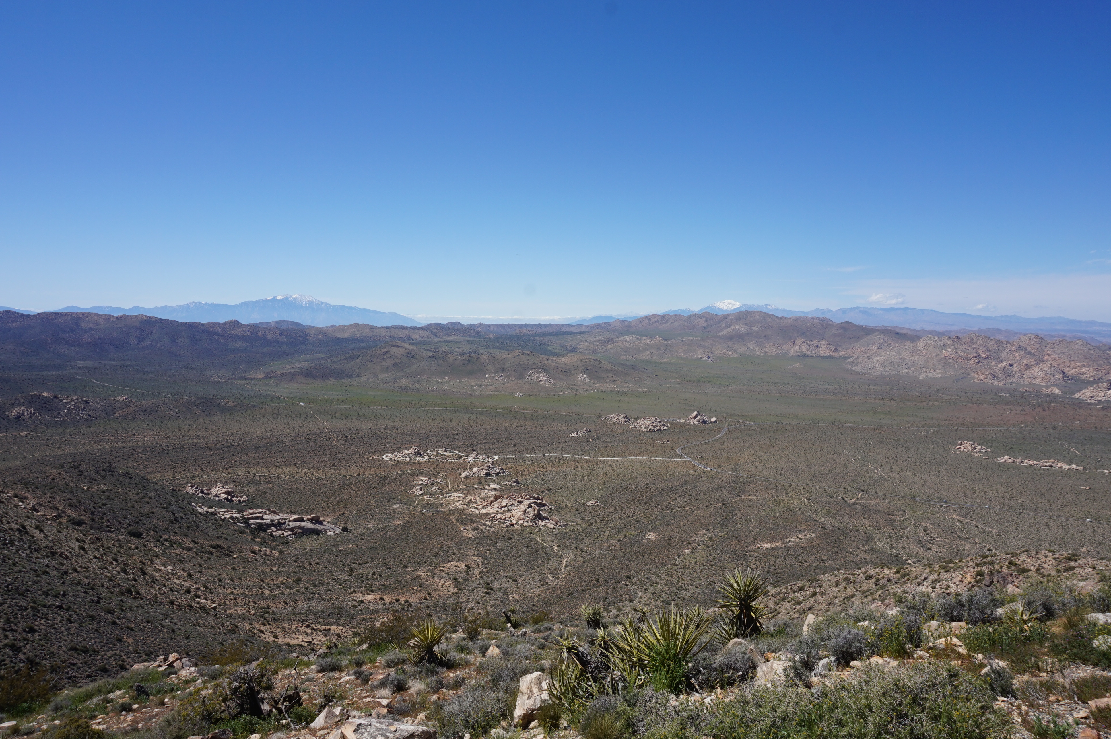 The view from the top of Ryan Mountain. You can see two snow-covered peaks. We think one is San Jacinto and the other is San Gorgonio.