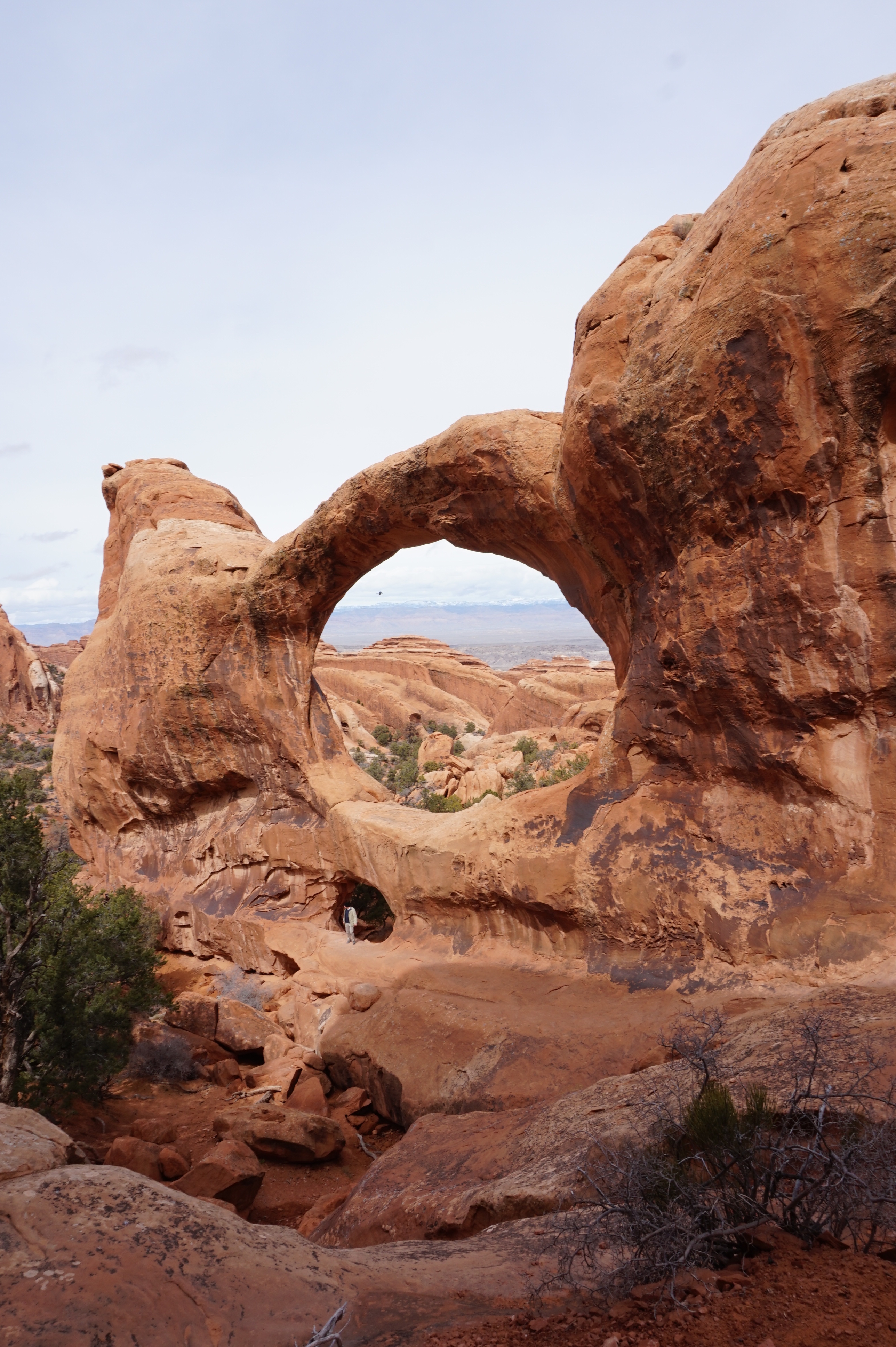 One of many arches seen along the Devils Garden Trail. These two are called Double O Arch.