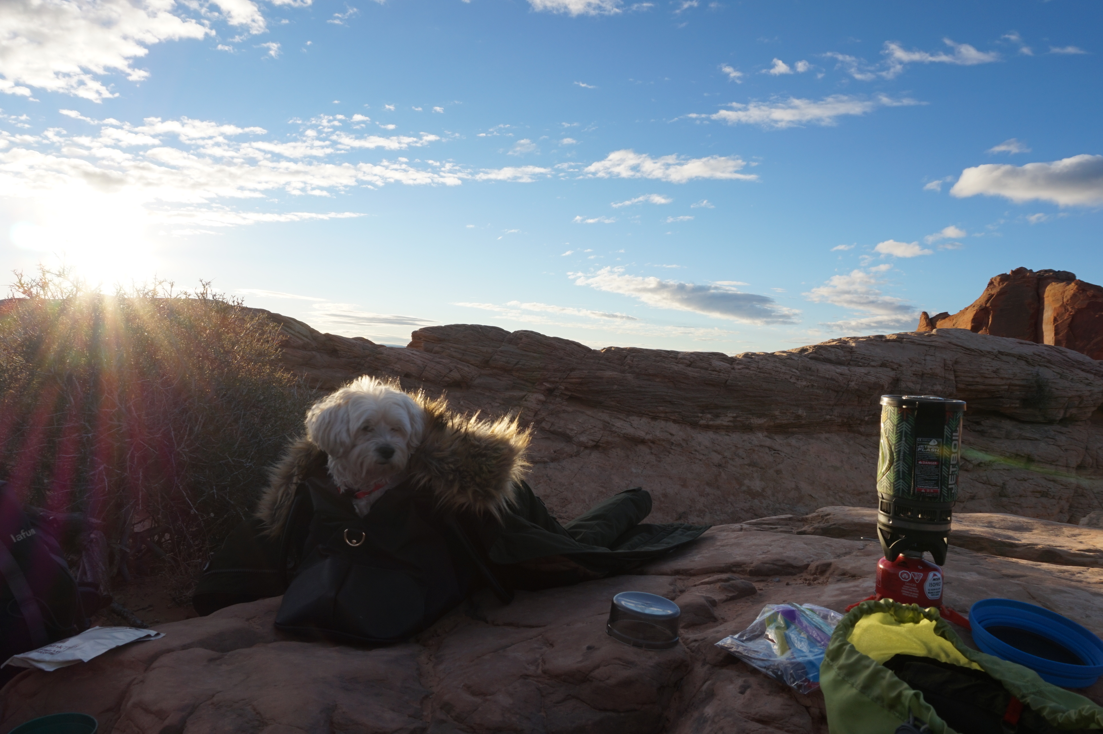 Mochi stays warm as we fire up the Jetboil