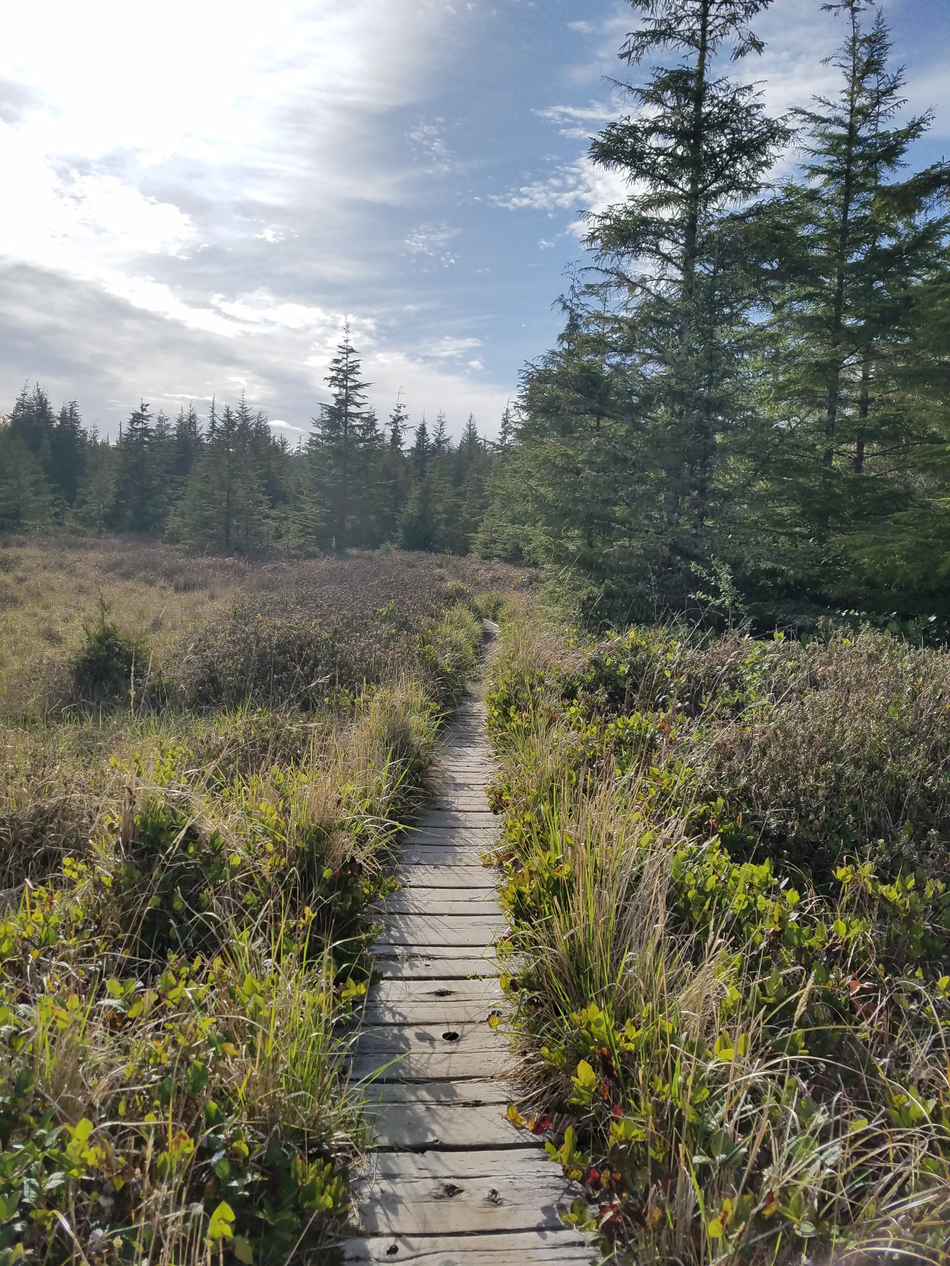 A three mile boardwalk takes us from Ozette Lake to Cape Alava and the coast.