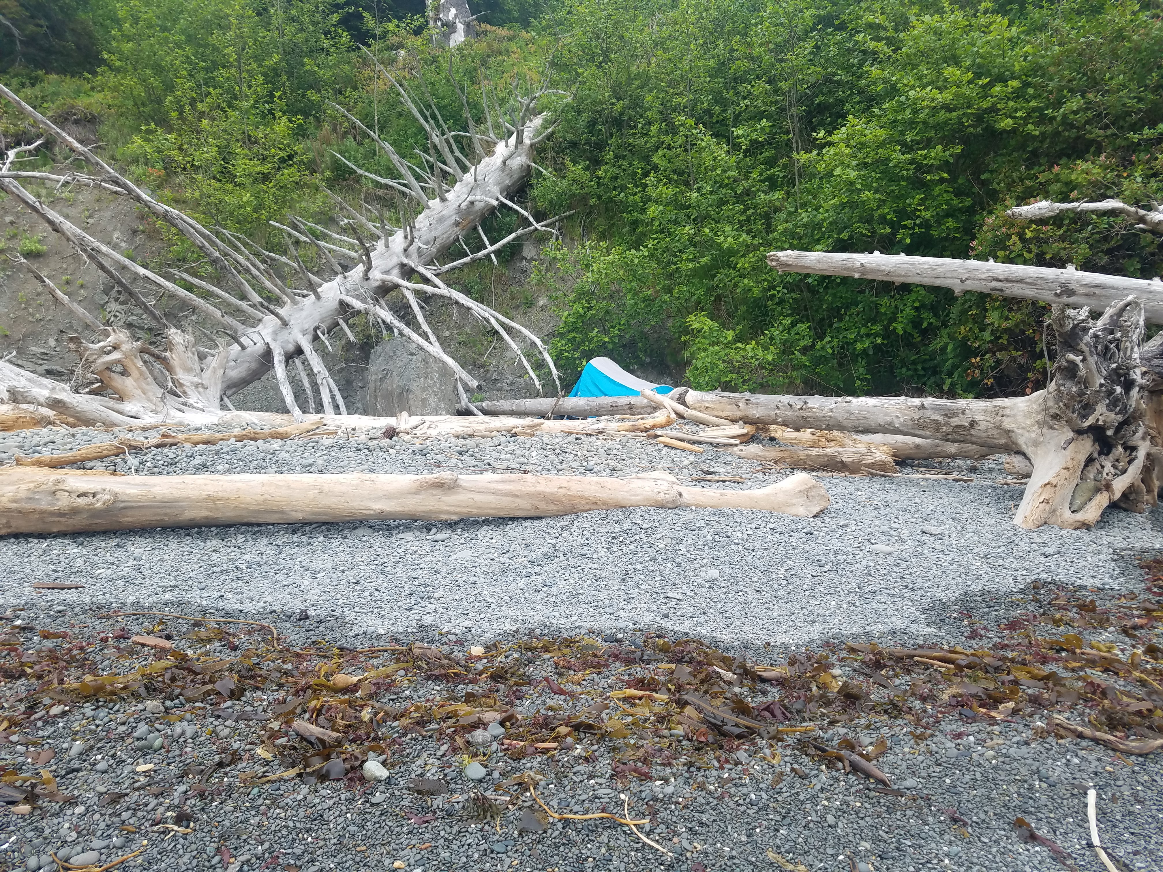 On our third night, we pitched our tent among the driftwood. We sort of stranded ourselves between two established campsites Starbuck Mine and Chilean Memorial. It was impossible to continue due to high tides and the dark. To backtrack would mean four additional miles of hiking in the dark and two overland passes. So we pitched right in the driftwood, as far back from the water against the cliff. We knew there wasn't a storm coming and the 3 AM high tide was not the monthly high. We woke up at 3 AM anyway, just to make extra sure high tide wouldn't wash us away. All clear!