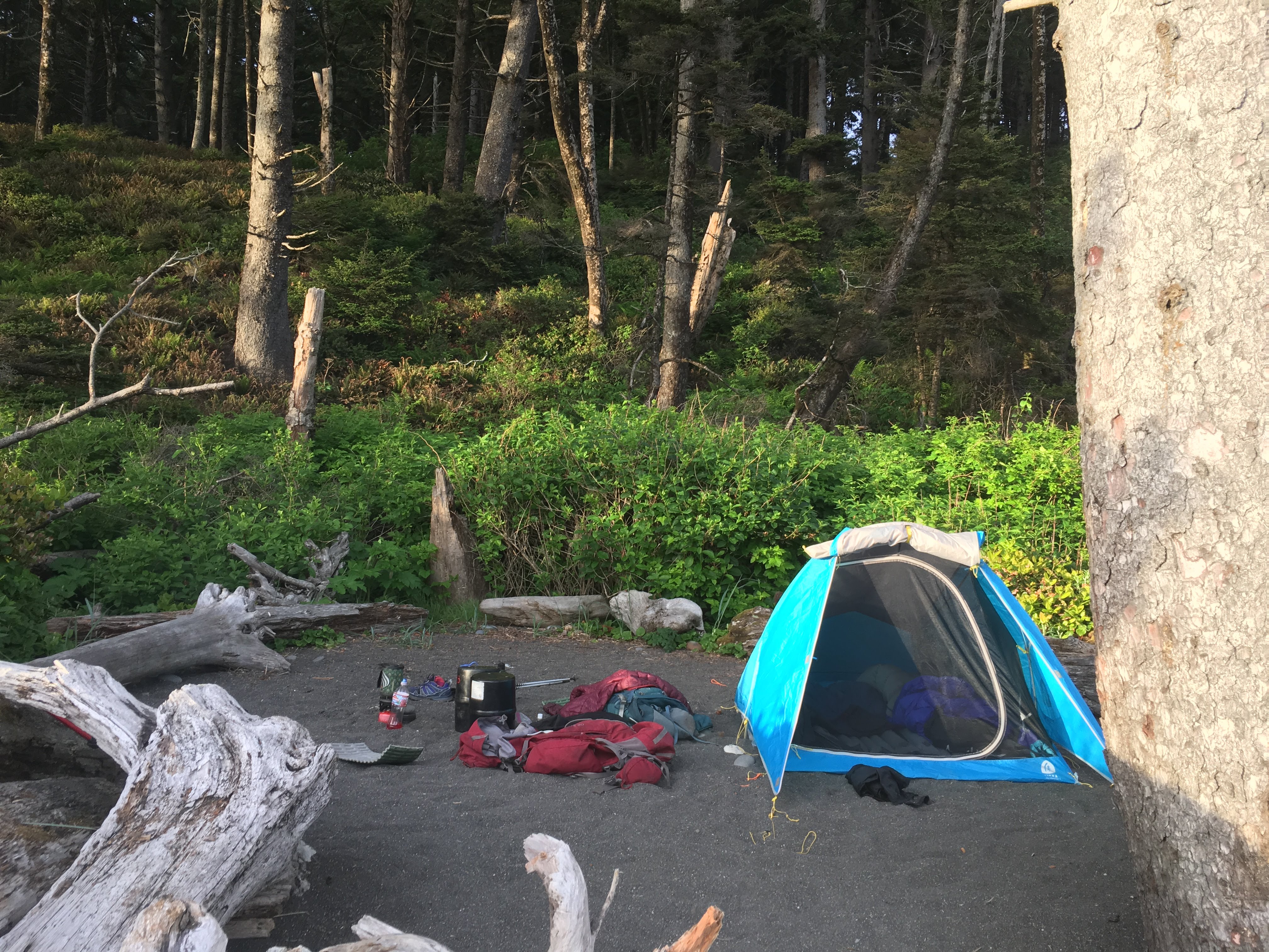 Despite being less than 3 miles from Rialto Beach and the end of our hike, we camped one last night right by Hole-In-The-Wall.