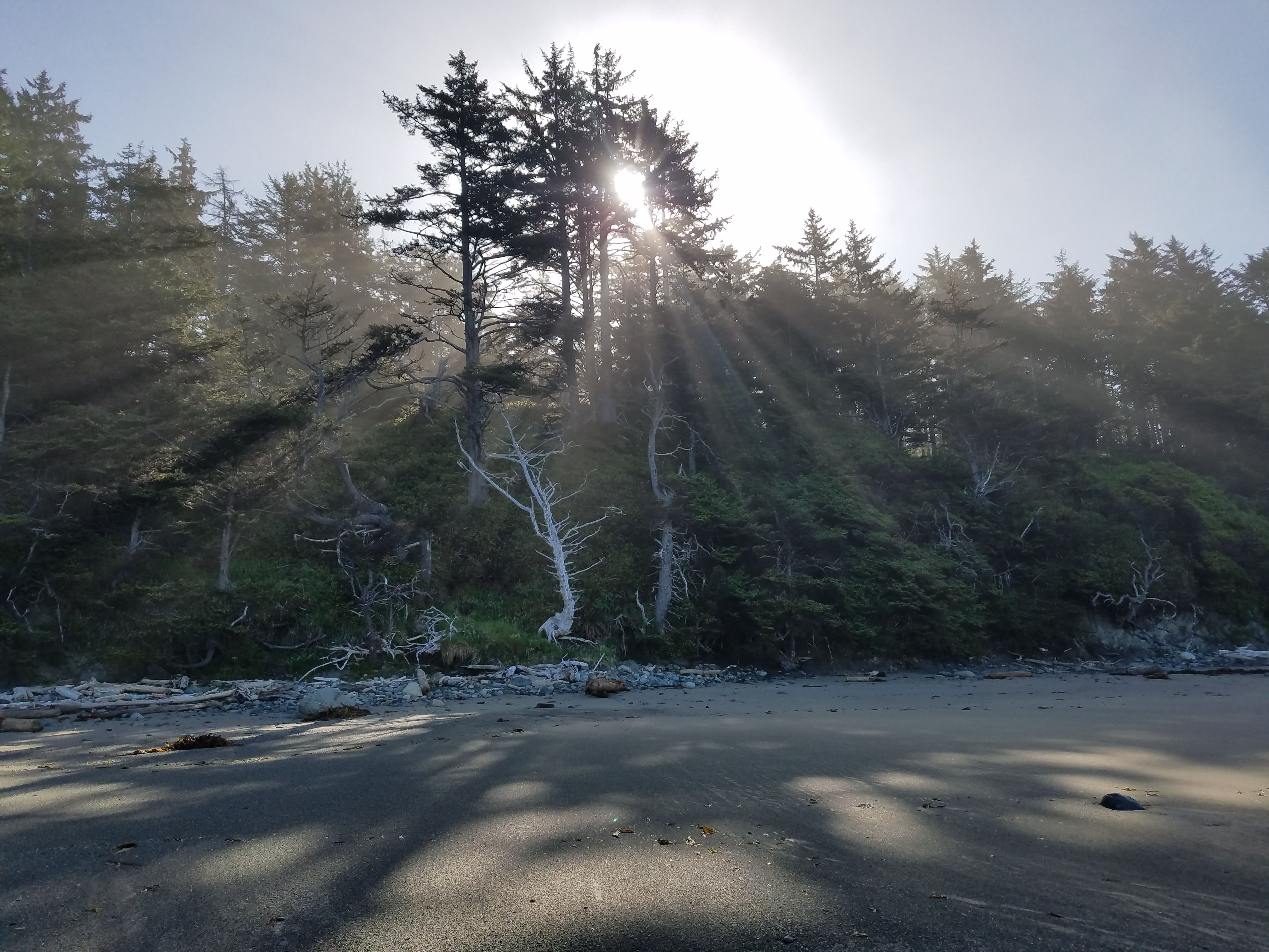 We got going relatively early in order to make our crossings before high tide. The ranger told us the timing of tides this week was perfect for hiking. The morning sunlight through the trees was magical.