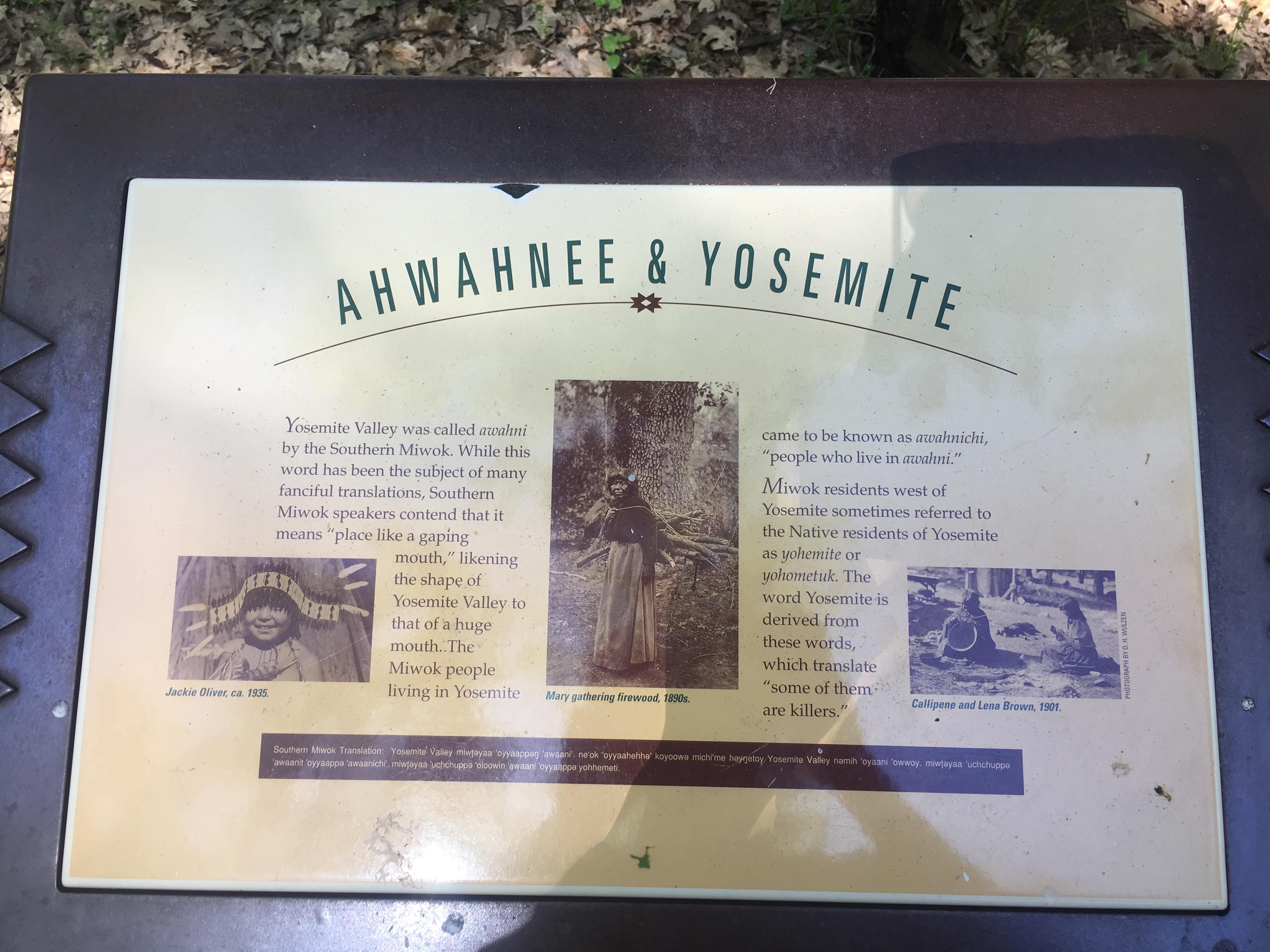 Finally some trivia! Why is Yosemite called Yosemite? The Miwok people living here called it <i>Ahwahnee</i>, meaning ''place like a gaping mouth''-- fair enough. But their neighbors called the natives here <i>Yohemite</i>, meaning ''some of them are killers''. Oh my. 